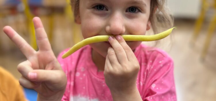 Projekt Witaminki – Fasola Projekt Witaminki – Fasola