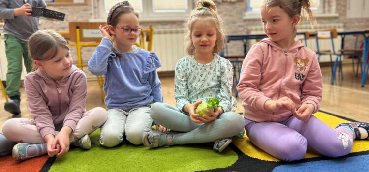 Projekt “Witaminki” – Kalarepa