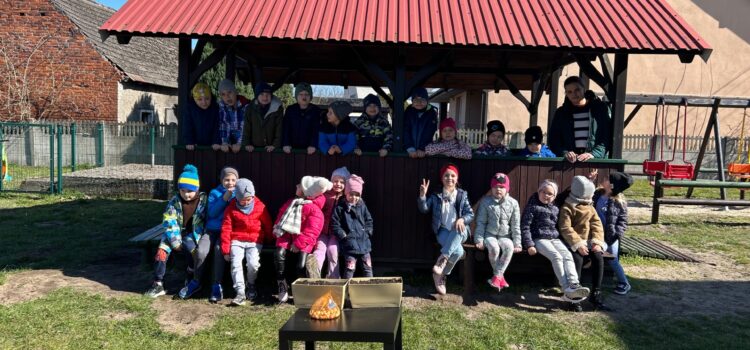 Mały ogródek w przedszkolu – Grupa Motylki